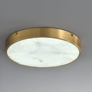 Ceiling light